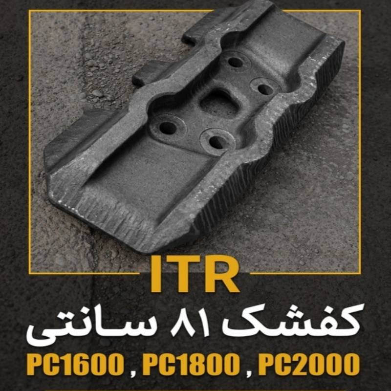 کفشک ۸۱سانتی